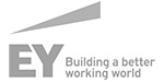 ey logo grau